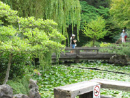 SunYatSen Garden