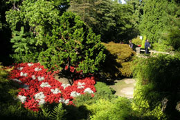 Queen Elizabeth Park 2