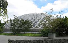 Bloedel Conservatory