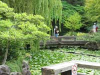 Dr. Sun Yat Sen Classical Garden